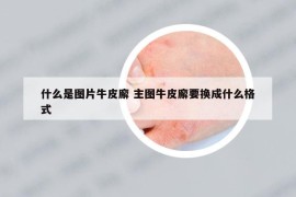 什么是图片牛皮廨 主图牛皮廨要换成什么格式