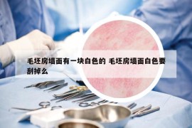 毛坯房墙面有一块白色的 毛坯房墙面白色要刮掉么