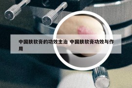 中国肤软膏的功效主治 中国肤软膏功效与作用