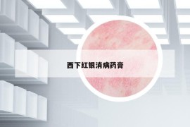 西下红银消病药膏