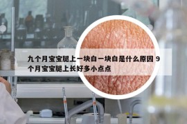 九个月宝宝腿上一块白一块白是什么原因 9个月宝宝腿上长好多小点点