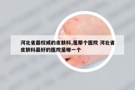 河北省最权威的皮肤科,是那个医院 河北省皮肤科最好的医院是哪一个