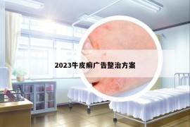 2023牛皮癣广告整治方案