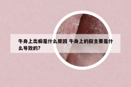 牛身上出癣是什么原因 牛身上的藓主要是什么导致的?