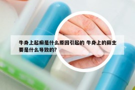 牛身上起癣是什么原因引起的 牛身上的藓主要是什么导致的?