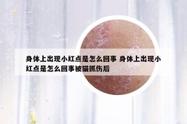 身体上出现小红点是怎么回事 身体上出现小红点是怎么回事被猫抓伤后