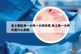 身上看起来一小块一小块白斑 身上有一小块白是什么原因