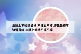 皮肤上不知道长啥,不痒也不疼,好像是癣不知道是啥 皮肤上癣状不痛不痒