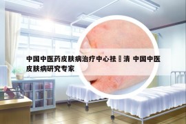中国中医药皮肤病治疗中心祛廯清 中国中医皮肤病研究专家
