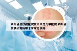 四川省皮肤病医院皮研所是几甲医院 四川省皮肤研究所哪个专家比较好